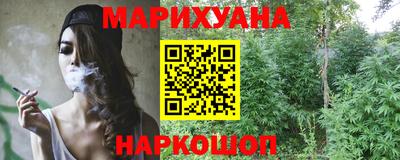 крисы Краснодар