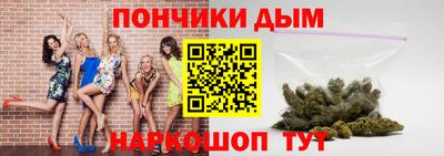 крисы Краснодар