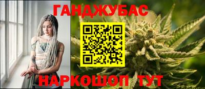 крисы Краснодар